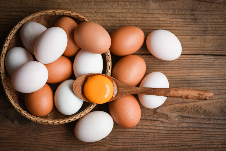 Global Eggs Secures Investment from Private Equity Firm Warburg Pincus Global Eggs Food and Beverage Business