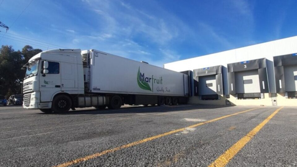 Anecoop Expands Supply Capacity through Marfruit Acquisition acquisition, Agriculture, Anecoop, Business Growth, Food Industry, Marfruit, supply capabilities Food and Beverage Business