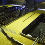 Bem Brasil Expands Potato Strip Production with Integrated Line from Key Technology Food and Beverage Business