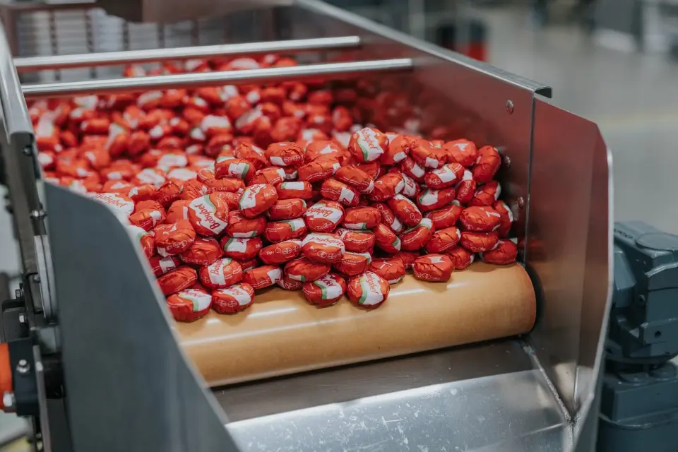 Bel Group Invests $200 Million in Babybel Plant Expansion Groupe Bel Food and Beverage Business