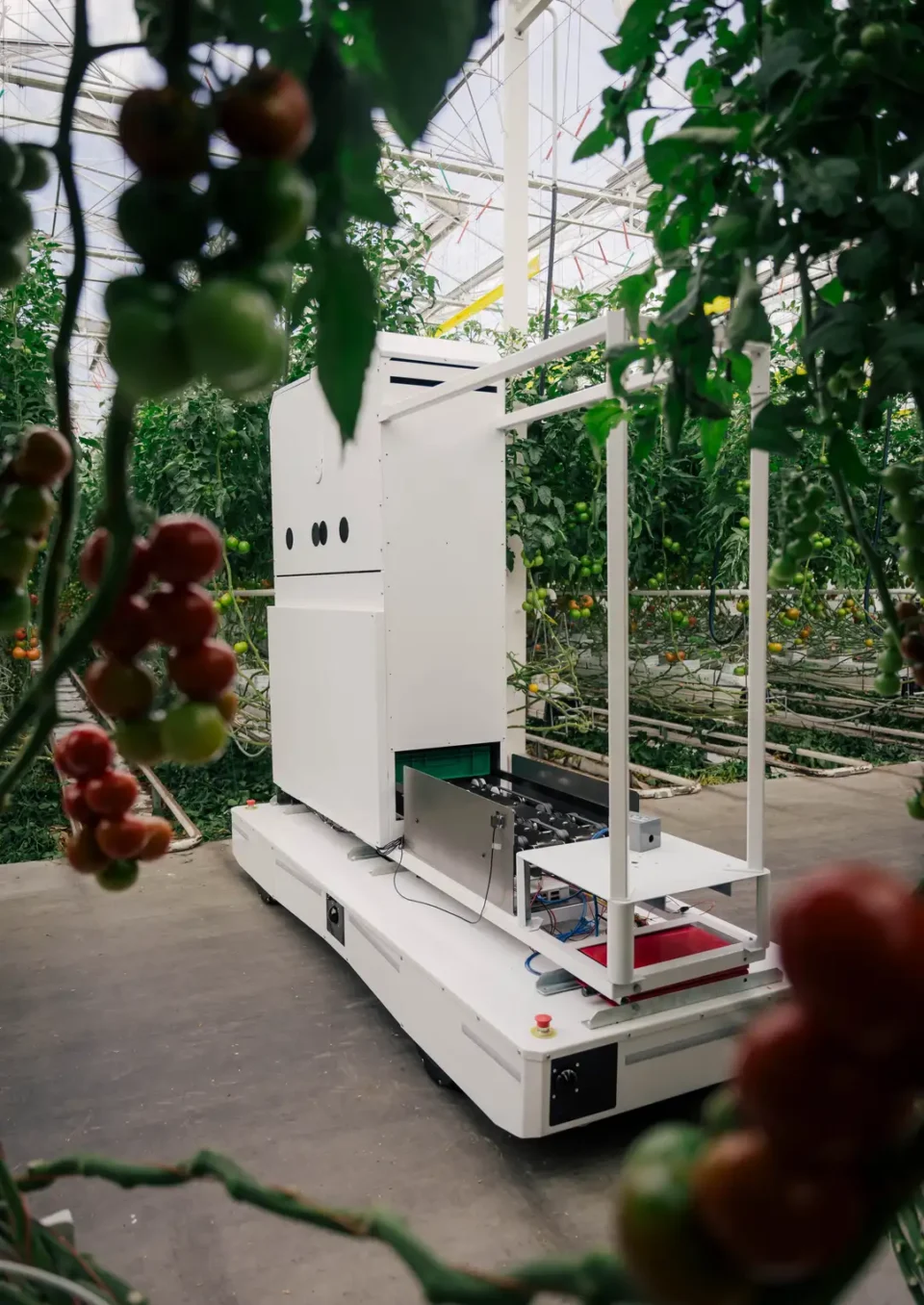 Harvesting the Future: Robots Move into Europe’s Greenhouses with €8m Backing return a list of comma separated tags from this title: Robots step into Europe’s greenhouses with €8m backing Food and Beverage Business