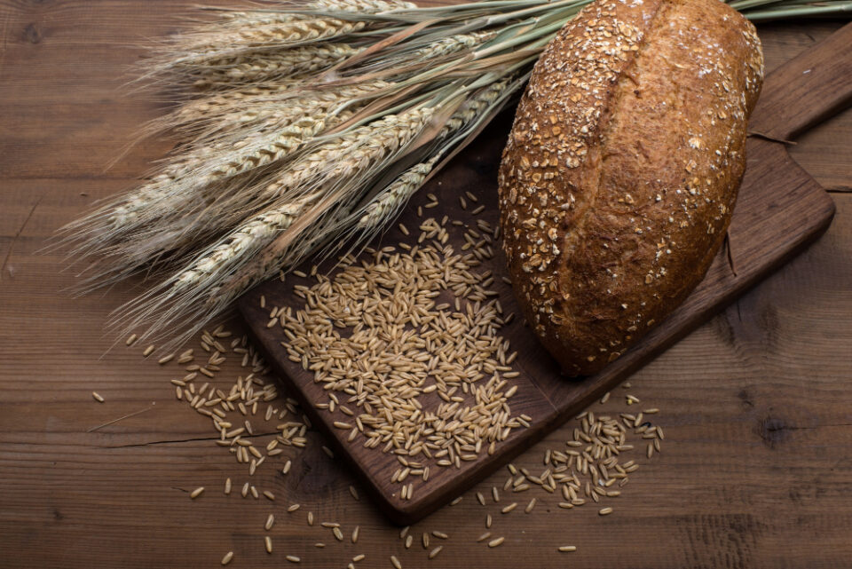 GoodMills Launches New Spelt Concentrate concentrate, Food Industry, GoodMills, health food, nutrition, Product Launch, spelt Food and Beverage Business