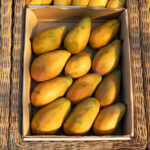 Capespan Appoints New CEO as Management Changes Take Place Food and Beverage Business