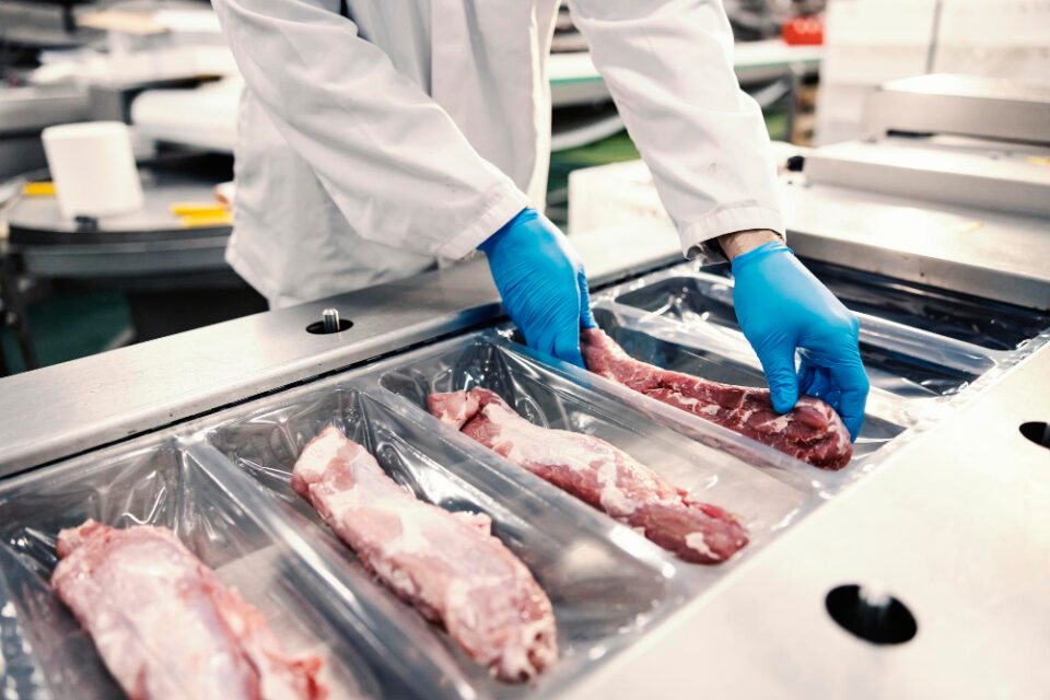 Vion Offloads Two Additional Meat Processing Facilities in Germany Vion Food Group Food and Beverage Business