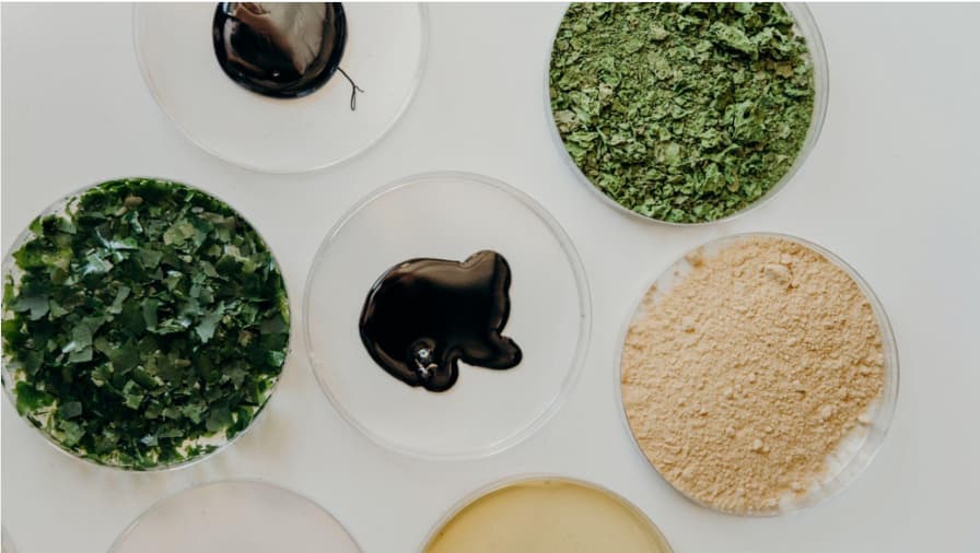 Algae-Based UV Flexo Ink Sets a New Standard for Sustainable Label Printing! Algae-Based UV Ink Flexo Ink Sustainable Label Printing Packaging Innovation Eco-Friendly Food and Beverage Business