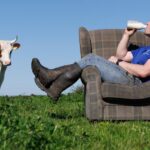 Mossgiel Organic Dairy Teams Up with Three Farms to Boost Production Capacity Food and Beverage Business