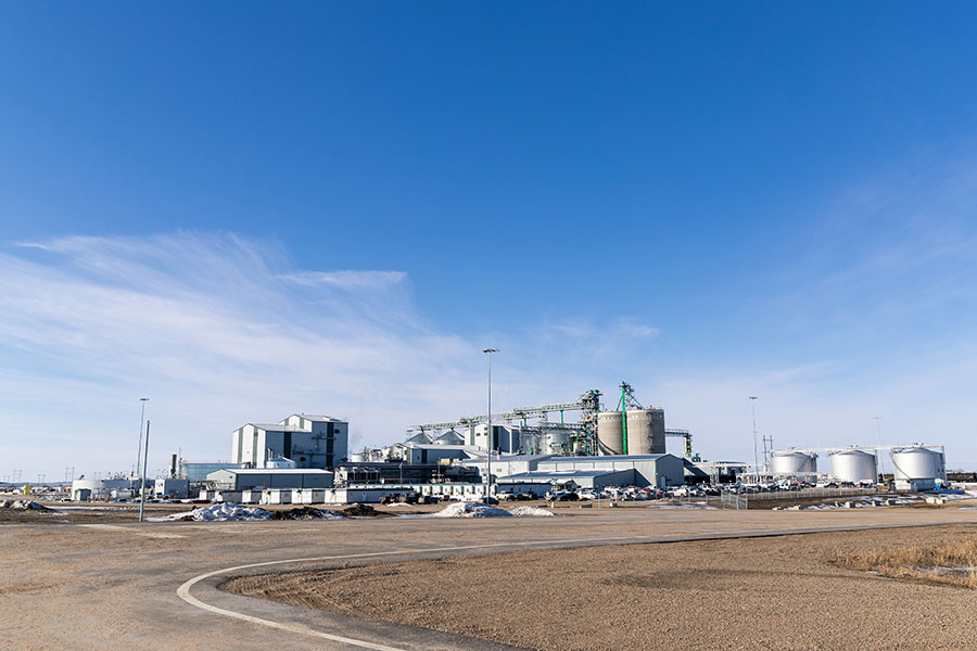New Canola Facility Launches in Regina canola, NEW, Opens, plant, Regina Food and Beverage Business