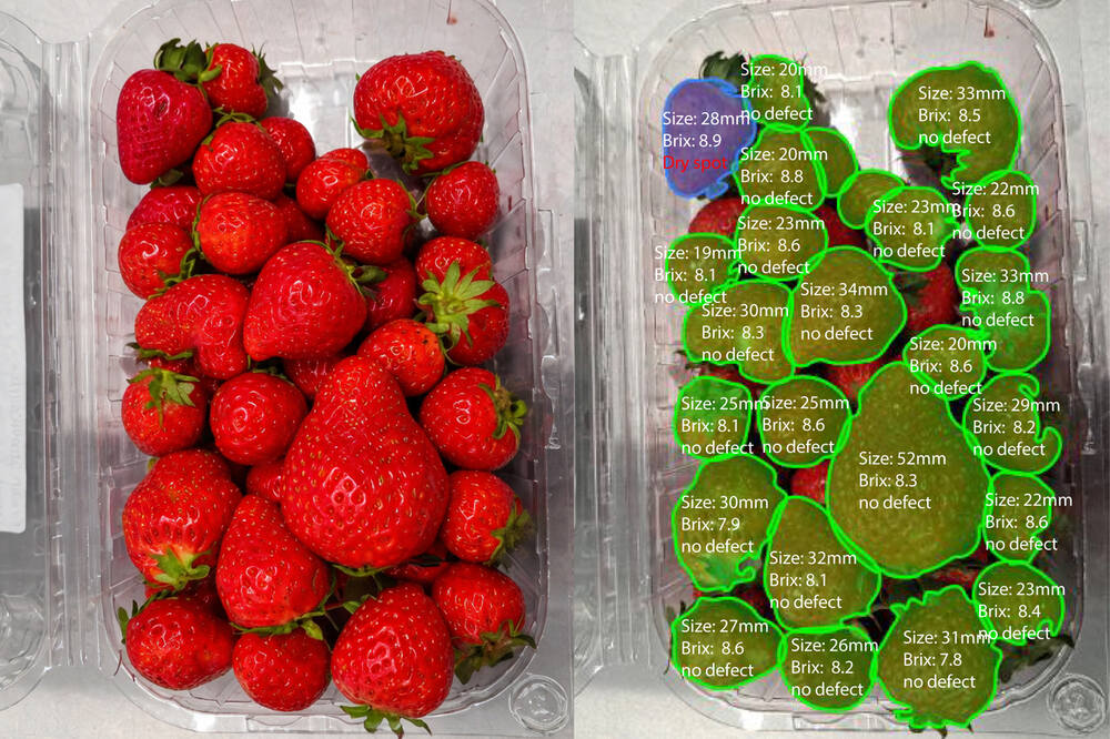 OneThird Secures €1M Investment to Enhance Spectral Imaging Technology €1m, Finance, Here are the tags derived from the title: OneThird, innovation, investment, spectral imaging, supercharge, technology Food and Beverage Business