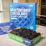 RDM and Dow Revolutionize Circular Packaging Solutions breakthrough, circular, Dow, Here are some tags based on the title: RDM, packaging, scales Food and Beverage Business