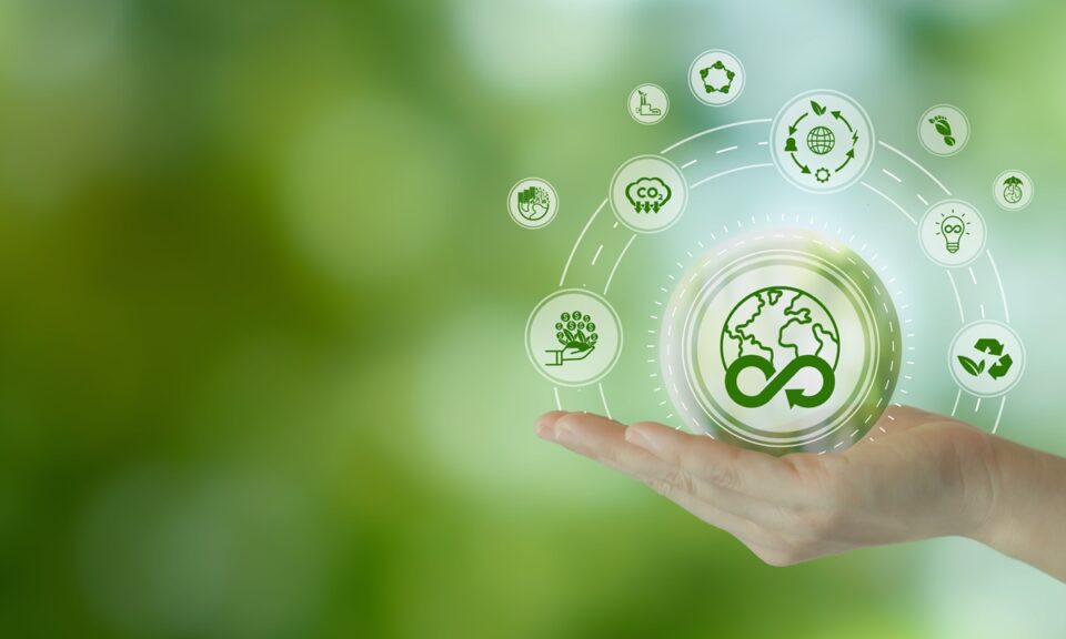 Packaging for Proof: Why Sustainable Packaging Now Demands Performance, Compliance and Circularity barrier coatings food packaging, circular packaging compliance, digital watermarks packaging, EPR packaging costs UK, food packaging automation compatibility, food packaging recyclability, PPWR packaging regulation 2026, rightweighting packaging design, sustainable packaging food manufacturing, sustainable packaging technology Food and Beverage Business sustainable packaging food manufacturing, PPWR packaging regulation 2026, food packaging recyclability, rightweighting packaging design, food packaging automation compatibility, digital watermarks packaging, circular packaging compliance, barrier coatings food packaging, EPR packaging costs UK, sustainable packaging technology