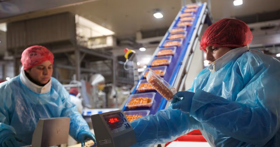 EU Greenlights Boparan Private Office's Acquisition of German Turkey Company Food and Beverage Business