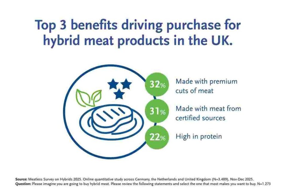 Flavor and Protein Boost Demand for Hybrid Meat consumer preferences, demand, Food Industry, hybrid meat, meat alternatives, protein, Sustainability, taste Food and Beverage Business