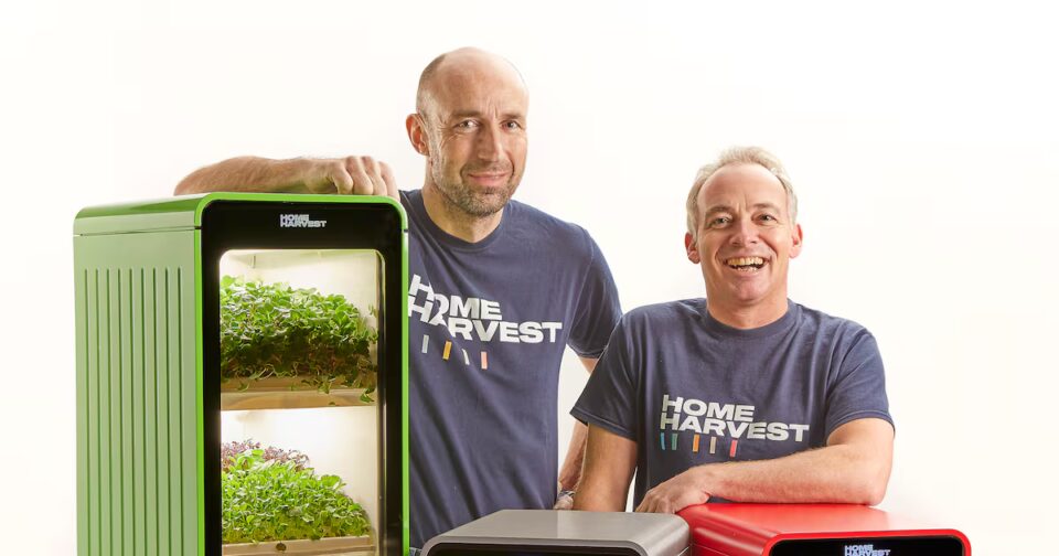 Home Harvest is transforming the leafy greens and herb market with its innovative smart indoor farming solution for homes. Food and Beverage Business