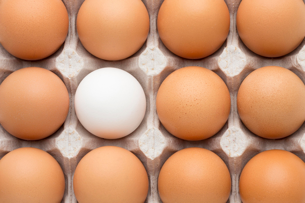 St. Ewe Managing Director Departs After Five Years with the Company birds egg, black star hen, chicken - bird, farming, Female, fresh, golden comet hen, hen-house, mars hill, mid adult woman, mid section, natural, north carolina, Nurturing, only female, only one mid adult woman, organic food, organic lifestyle, rural Food and Beverage Business