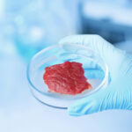The Netherlands to Launch the World's First Cultivated Meat Farm Food and Beverage Business