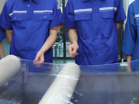 Chinese Start-Up Introduces Biodegradable Bamboo Packaging Films Bamboo, Biodegradable, Chinese start-up, eco-friendly, films, innovation, packaging, PackagingConnections, Sustainability Food and Beverage Business