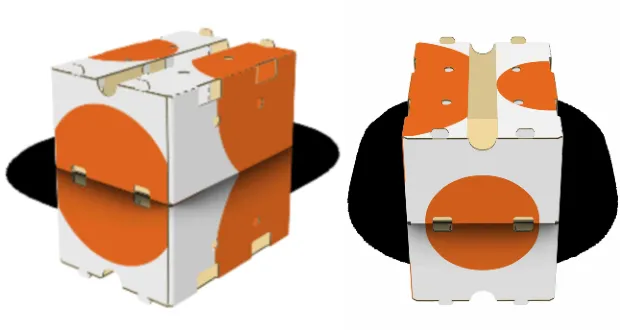 DS Smith's Closed-Type Tray Solution Safeguards Transatlantic Freight closed-type tray, DS Smith, freight, fresh fruit, protects, solution, transatlantic Food and Beverage Business