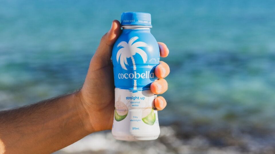 Danone Secures Double Deal in the Asia-Pacific Region Asia-Pacific, business, Danone, deal, Food Industry, partnership Food and Beverage Business