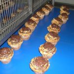 EPP Delivers Automated Finishing for Enhanced Consistency and Efficiency automated finishing, consistency, efficiency, EPP, Manufacturing, technology Food and Beverage Business
