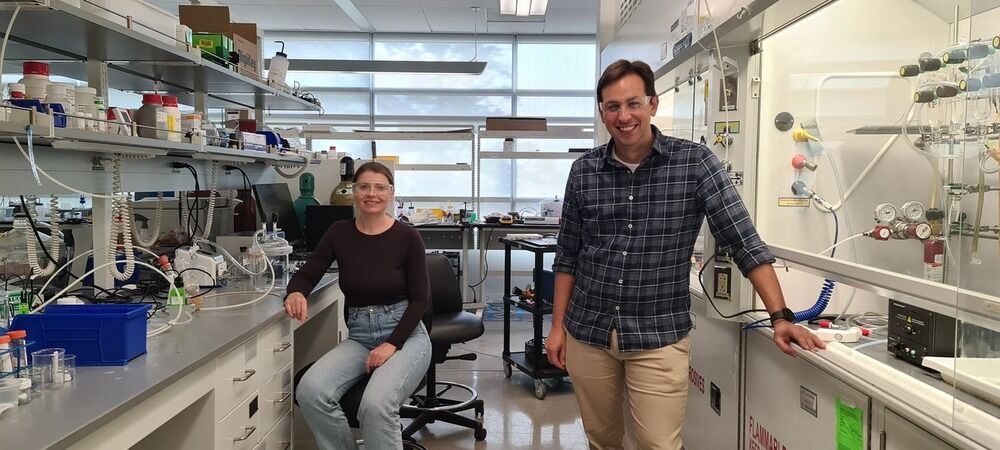 Researchers Create Clay Technology to Extend Fresh Produce Shelf Life Agriculture, clay technology, Food preservation, Fresh produce, innovation, Researchers, spoilage, Sustainability Food and Beverage Business