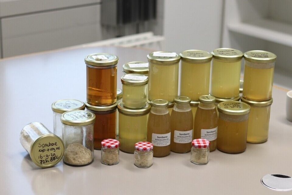 "Sonibone: An Ultrasonic Innovation for Extracting Collagen from Chicken Bones" chicken bones, collagen, innovation, project, Sonibone, technology, ultrasonic, unlocks Food and Beverage Business