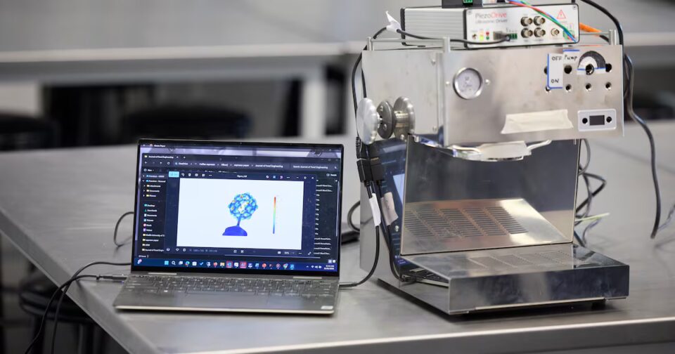 Ultrasound Facilitates Quick, Low-Energy Espresso Creation 35-39 years, abundance, aroma, beginnings, brown, Caffeine, caucasian, checking, close up, coffee, coffee bean, color image, copy space, cupping, Examining, Food and Drink, food and drink industry, fresh, holding, horizontal, human hand, indoors, inspecting, large group of objects, man, mid adult, mid adult men, morning, one person, people, photography, quality control, roasted, surrey, United kingdom Food and Beverage Business