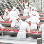 De Cecco Acquires Italian Rival RossoGargano acquisition, business, De Cecco, Food Industry, Italian, RossoGargano Food and Beverage Business