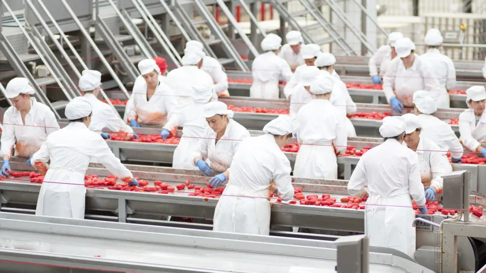 De Cecco Acquires Italian Rival RossoGargano acquisition, business, De Cecco, Food Industry, Italian, RossoGargano Food and Beverage Business