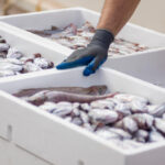 Fastnet Fish Acquires Value-Added Business Seafish UK acquisitions, business expansion, Here’s a list of comma-separated tags derived from the title: Fastnet Fish, Seafish UK, seafood industry, value-added business Food and Beverage Business