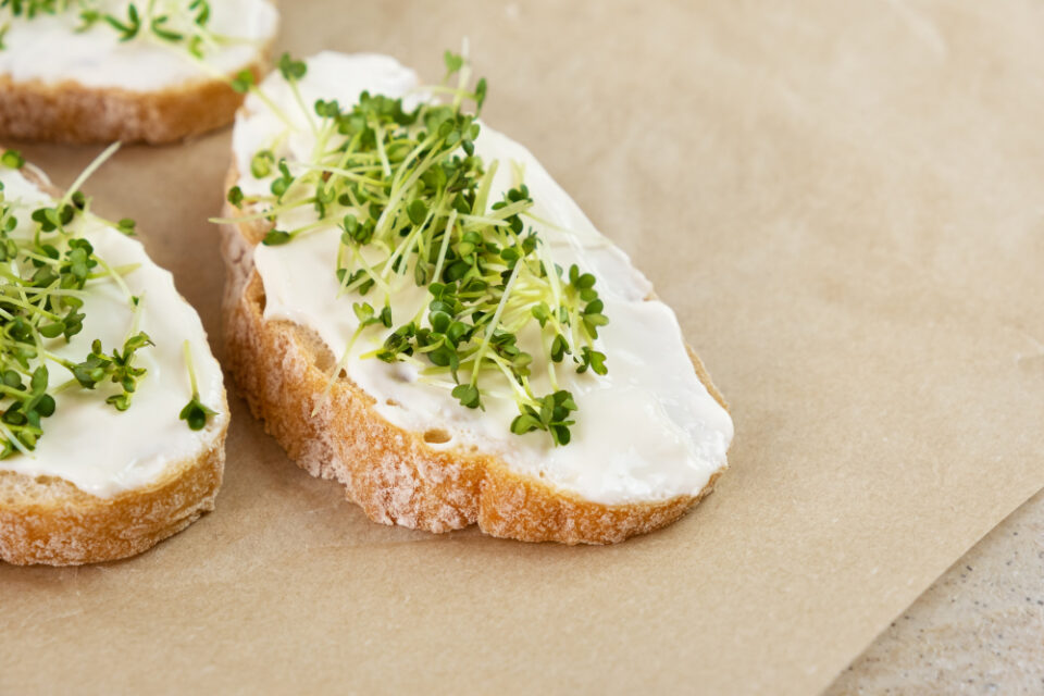 Austria’s Berglandmilch to Expand Capacity at Largest Dairy Facility Austria, Berglandmilch, capacity, dairy, Milk production Food and Beverage Business