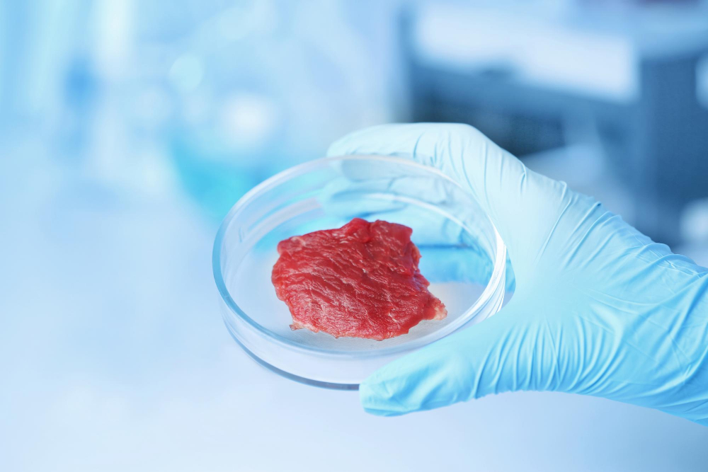 FSA and FSS Release Updated Guidelines for Cell-Cultivated Products cell-cultivated, FSA, FSS, guidance, publication Food and Beverage Business