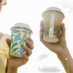 BioPak Partners with Veritree to Plant Nearly 60,000 Trees for Ecosystem Restoration beverage packaging, Bio-based, biodegradable packaging, brand identity, Consumer trends, eco-friendly packaging, environmental impact, food and drink packaging, Food packaging, food safety, packaging design, Recyclable packaging, sustainable packaging Food and Beverage Business