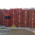 Progressing Beyond Recycling: Defra's Report Signals a Much Bigger Shift for UK Industry Food and Beverage Business