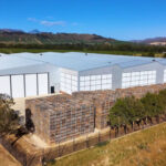 GEA Technology Empowers Betko to Enhance Fruit Storage Capabilities Betko, Extension, fruit storage, GEA, technology Food and Beverage Business