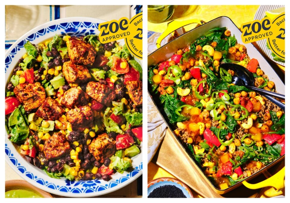 Grubby and Zoe Team Up for Gut-Friendly Recipes grubby, gut healthy, join forces, Recipes, Zoe Food and Beverage Business
