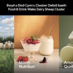 Welsh Dairy Sheep Cluster Creates New Processing Opportunities Cluster, dairy, opportunities, Processing, Sheep, Welsh Food and Beverage Business