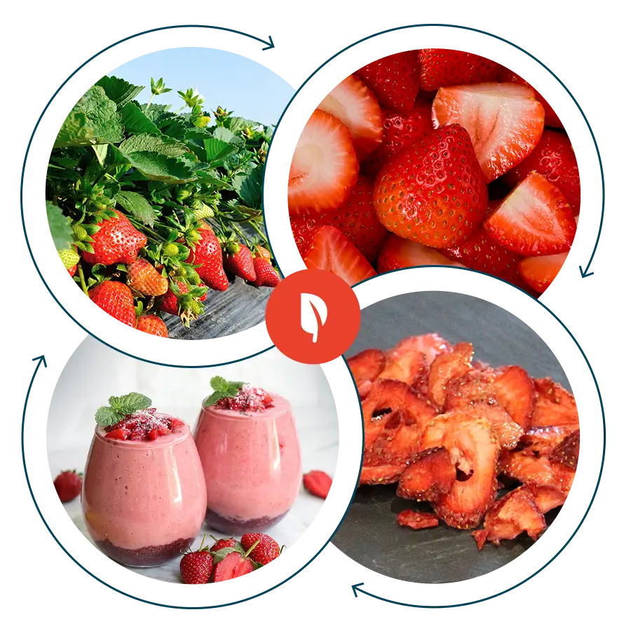 Investment in Ingredient Processing Driven by Clean-Label Demand clean label, ingredient processing, investment Food and Beverage Business