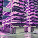 Keep It Moving, Keep It Visible: How Intelligent Materials Handling Is Reshaping Food Operations agentic AI warehouse management, automated storage and retrieval systems, autonomous mobile robots food manufacturing, cold storage automation, EUDR food supply chains, food traceability systems, food warehouse automation, FSMA 204 compliance, packaging EPR data, smart materials handling food industry Food and Beverage Business