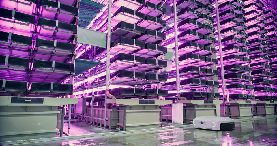 Keep It Moving, Keep It Visible: How Intelligent Materials Handling Is Reshaping Food Operations agentic AI warehouse management, automated storage and retrieval systems, autonomous mobile robots food manufacturing, cold storage automation, EUDR food supply chains, food traceability systems, food warehouse automation, FSMA 204 compliance, packaging EPR data, smart materials handling food industry Food and Beverage Business smart materials handling food industry,food warehouse automation,autonomous mobile robots food manufacturing,automated storage and retrieval systems,agentic AI warehouse management,food traceability systems,FSMA 204 compliance,EUDR food supply chains,packaging EPR data,cold storage automation