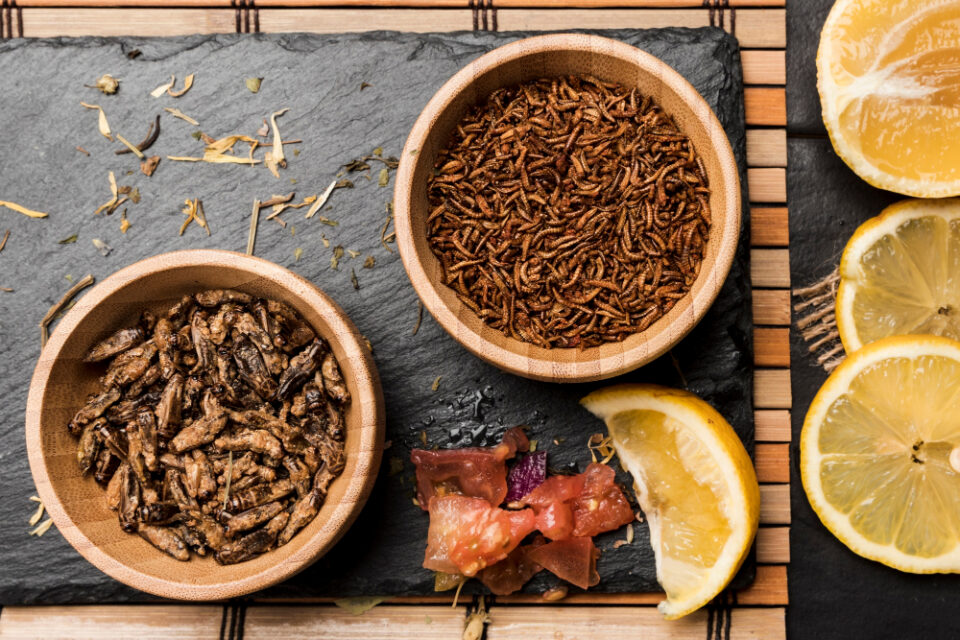 Trust, Not Just Technology, is Essential for Novel Foods Here are some suggested tags based on the title "Novel foods need trust Food and Beverage Business