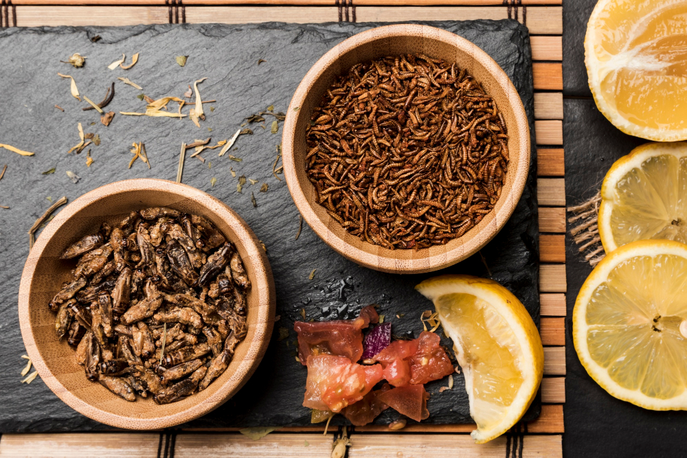 Trust, Not Just Technology, is Essential for Novel Foods Food and Beverage Business Trust, Not Just Technology, is Essential for Novel Foods Here are some suggested tags based on the title "Novel foods need trust Food and Beverage Business