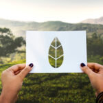 Unilever and Thai Union Advocate for Collaborative and Adaptable Sustainability Solutions Food and Beverage Business