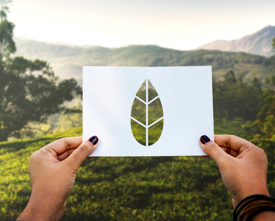 Unilever and Thai Union Advocate for Collaborative and Adaptable Sustainability Solutions Food and Beverage Business