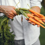 Ingredion’s Carrot Fibre Receives EU Approval carrot fibre, clean label, dietary fibre, EU approval, Food Ingredients, Ingredion Food and Beverage Business