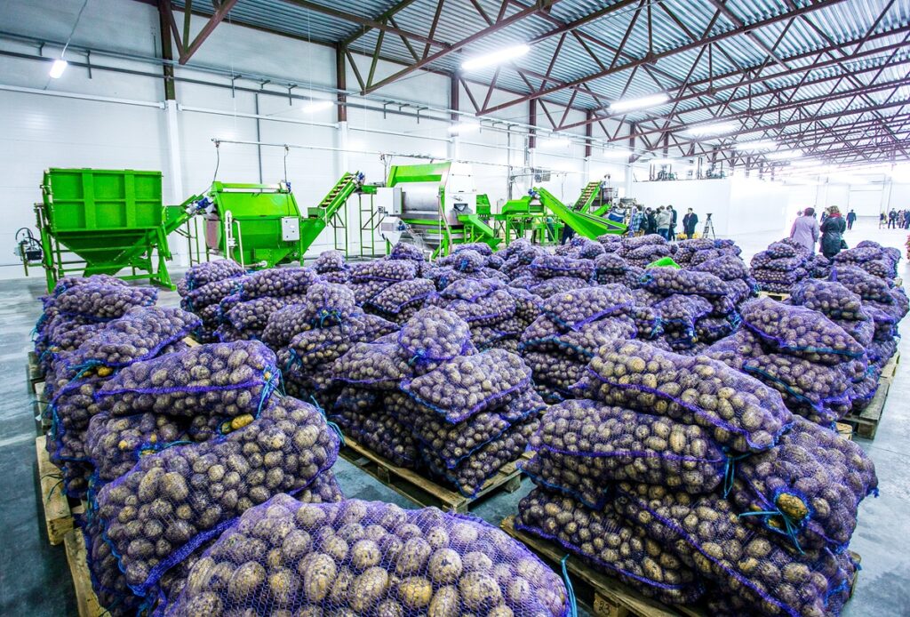 The Unpredictable Harvest: Building a More Resilient Fresh Produce Supply Chain agricultural robotics, AI crop monitoring, controlled environment agriculture, fresh produce supply chain, fruit and vegetable processing, horticulture automation, horticulture technology, Keywords: fruit and vegetable production UK, precision breeding UK, vertical farming UK Food and Beverage Business fruit and vegetable production UK,horticulture automation,agricultural robotics,precision breeding UK,fruit and vegetable processing,controlled environment agriculture,vertical farming UK,AI crop monitoring,horticulture technology,fresh produce supply chain