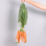 Bringing PET Industry Testing Data Together to Strengthen Food Safety data integration, Food packaging, food safety, packaging safety, pet industry, Quality assurance, Regulatory Compliance, testing data Food and Beverage Business