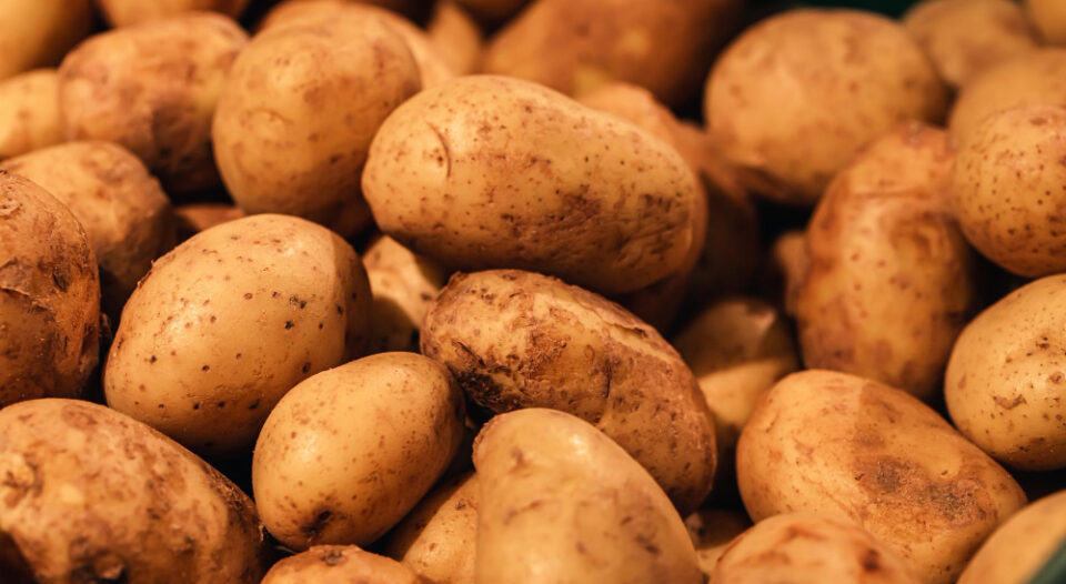 Aldi Yorkshire Potato Supplier Cockerill Invests £1.65m in New Technology inman Food and Beverage Business