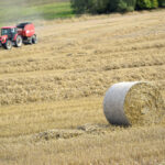 Kellogg’s Backs UK Farmers with New Regenerative Agriculture Scheme Food and Beverage Business