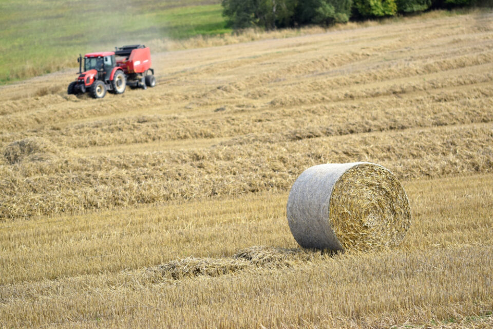 Kellogg’s Backs UK Farmers with New Regenerative Agriculture Scheme Food and Beverage Business