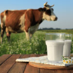 UK Dairy Industry Unveils £2.4bn Sustainability Plan £2.4bn investment, dairy industry, Environmental Sustainability, sustainability plan, Sustainable agriculture, UK agriculture, UK dairy sector Food and Beverage Business